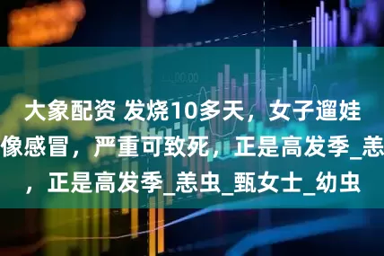 大象配资 发烧10多天，女子遛娃回来后确诊！很像感冒，严重可致死，正是高发季_恙虫_甄女士_幼虫