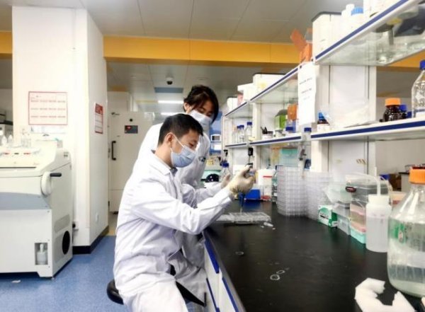 钱掌柜配资 医学顶刊《新英格兰医学杂志》发表中国卒中精准治疗最新研究成果