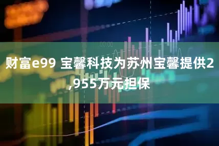 财富e99 宝馨科技为苏州宝馨提供2,955万元担保